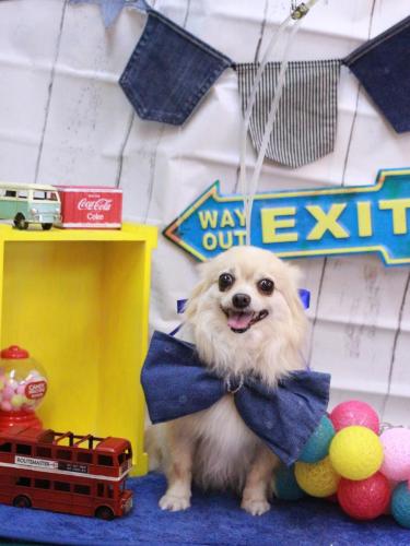 20230404ふうちゃん